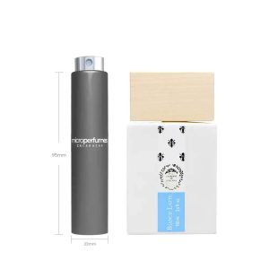 Travel Spray