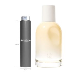 Travel Spray