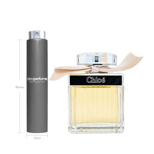 Travel Spray