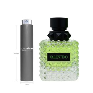 Travel Spray