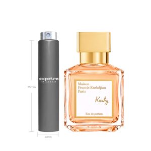 Travel Spray