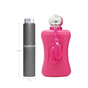 Travel Spray