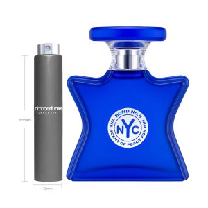 Travel Spray