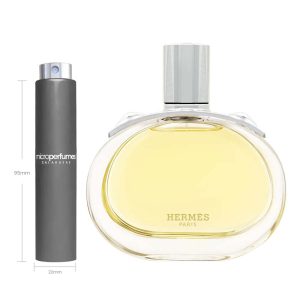 Travel Spray