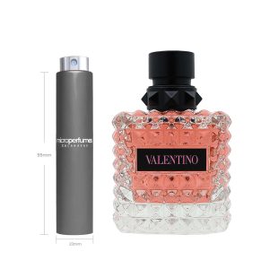 Travel Spray